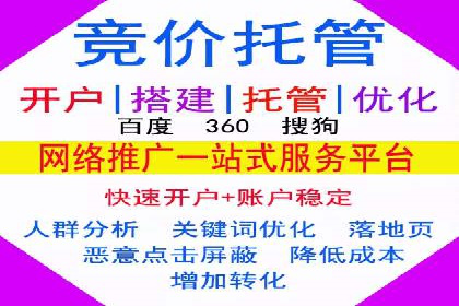 搜索引擎优化（SEO）与竞价广告（SEM）的对比案例